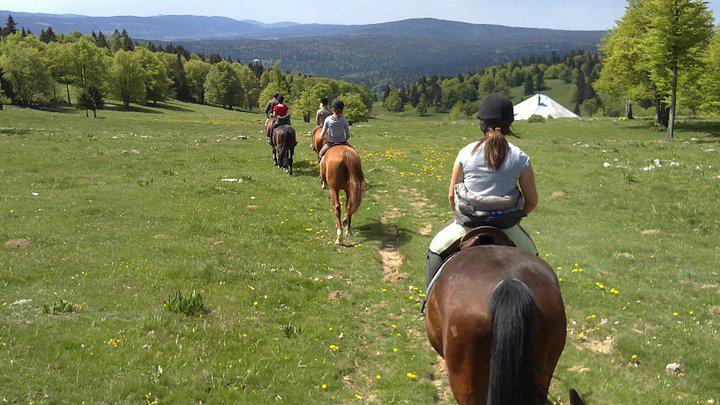 Balade à cheval dans les combes