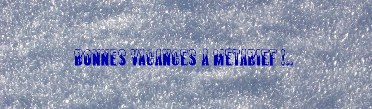 La neige cristalise par grand froid