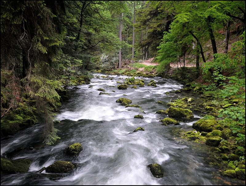 Rivière Orbe, en Suisse, à Vallorbe
