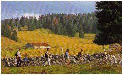 Randonnée dans les combes